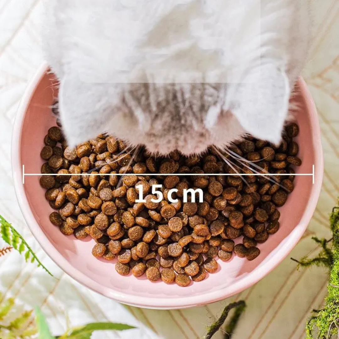 Plato De Ceramica Dise ado Flores Para Mascotas-4