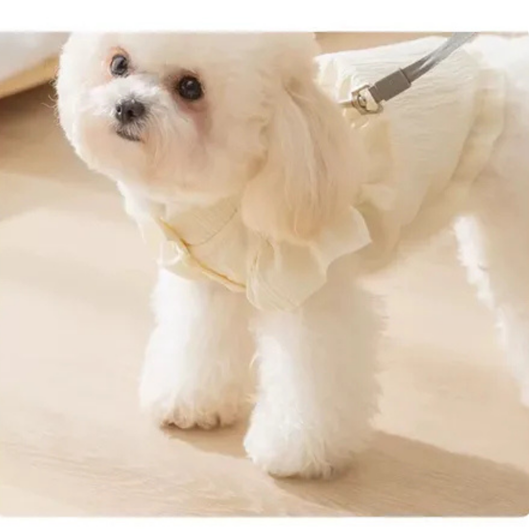 Ropa Vestido Elegante Para Mascota Perro Y Gato-3