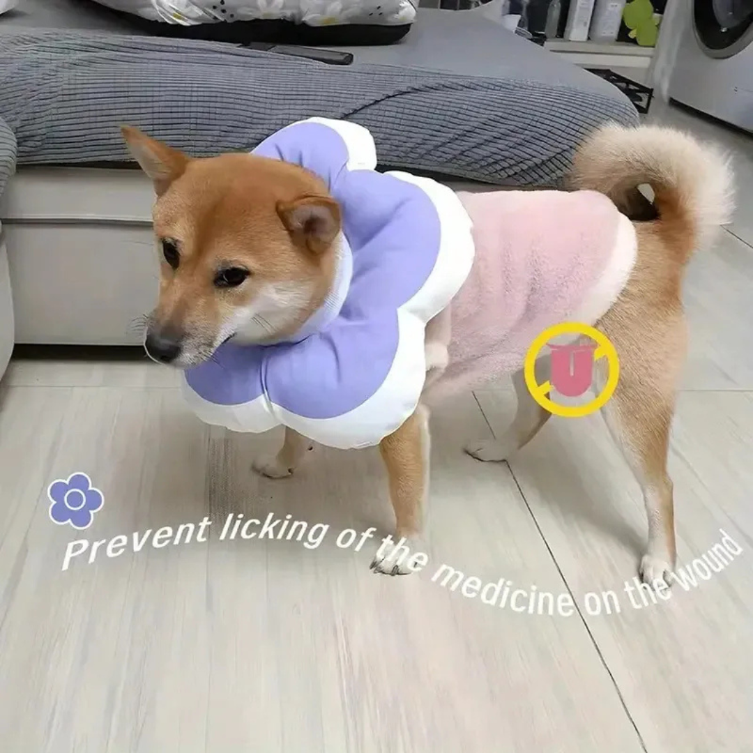 Collar De Recuperaci n Para Mascota Almohada Para El Cuello-3