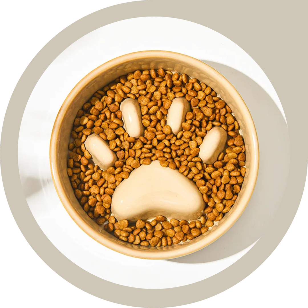 Plato Cer mica Anti Ansiedad Come Lento Mascotas Anti Ahogo-4