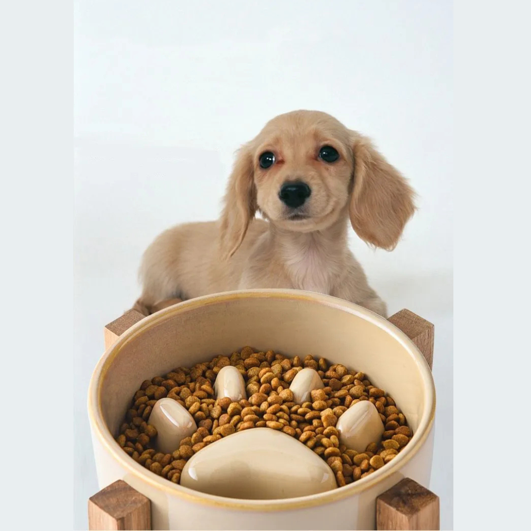 Plato Cer mica Anti Ansiedad Come Lento Mascotas Anti Ahogo-6