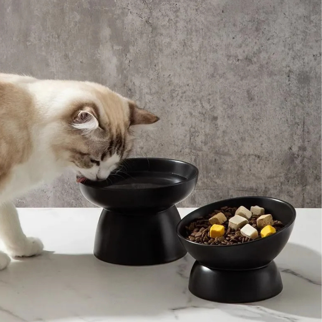 Plato De Ceramica Para Mascota Perro Gato Bebedero Comedero-2