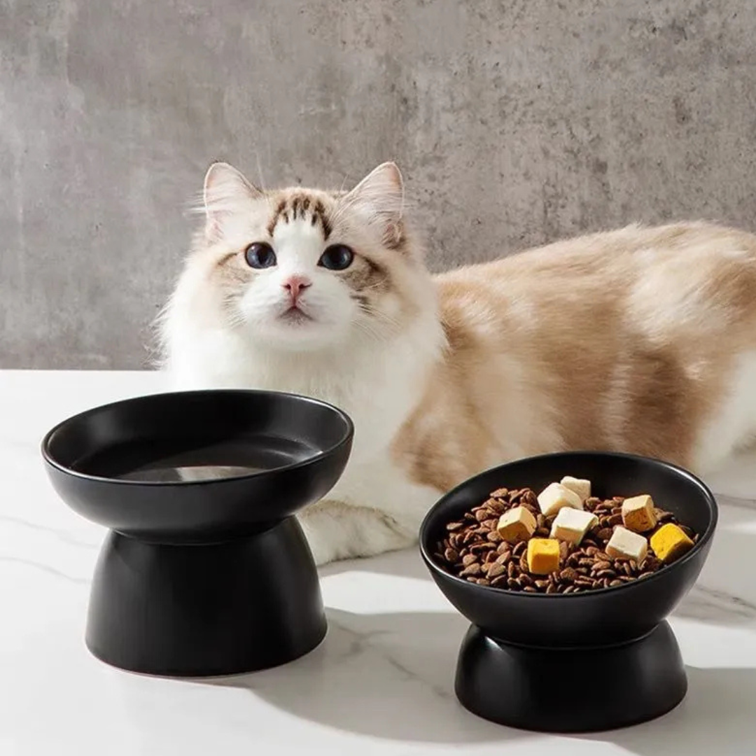Plato De Ceramica Para Mascota Perro Gato Bebedero Comedero-5