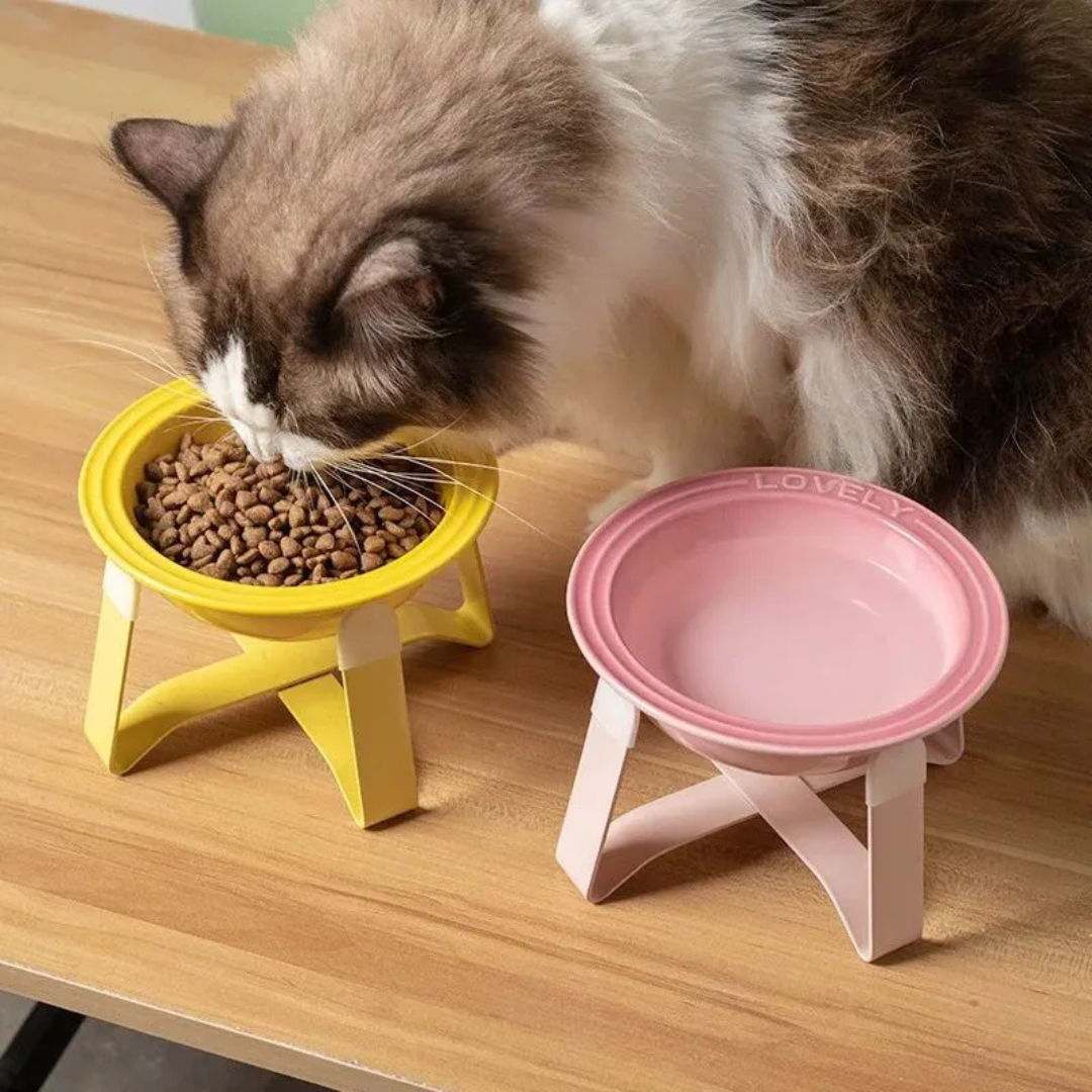 Plato Cer mica Alto Para Mascota Gato Perro Peque o-5