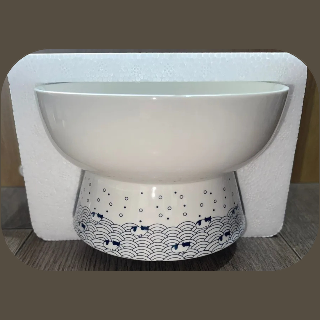 Plato De Ceramica Estampados Para Mascotas Perros Gatos Blanco-4