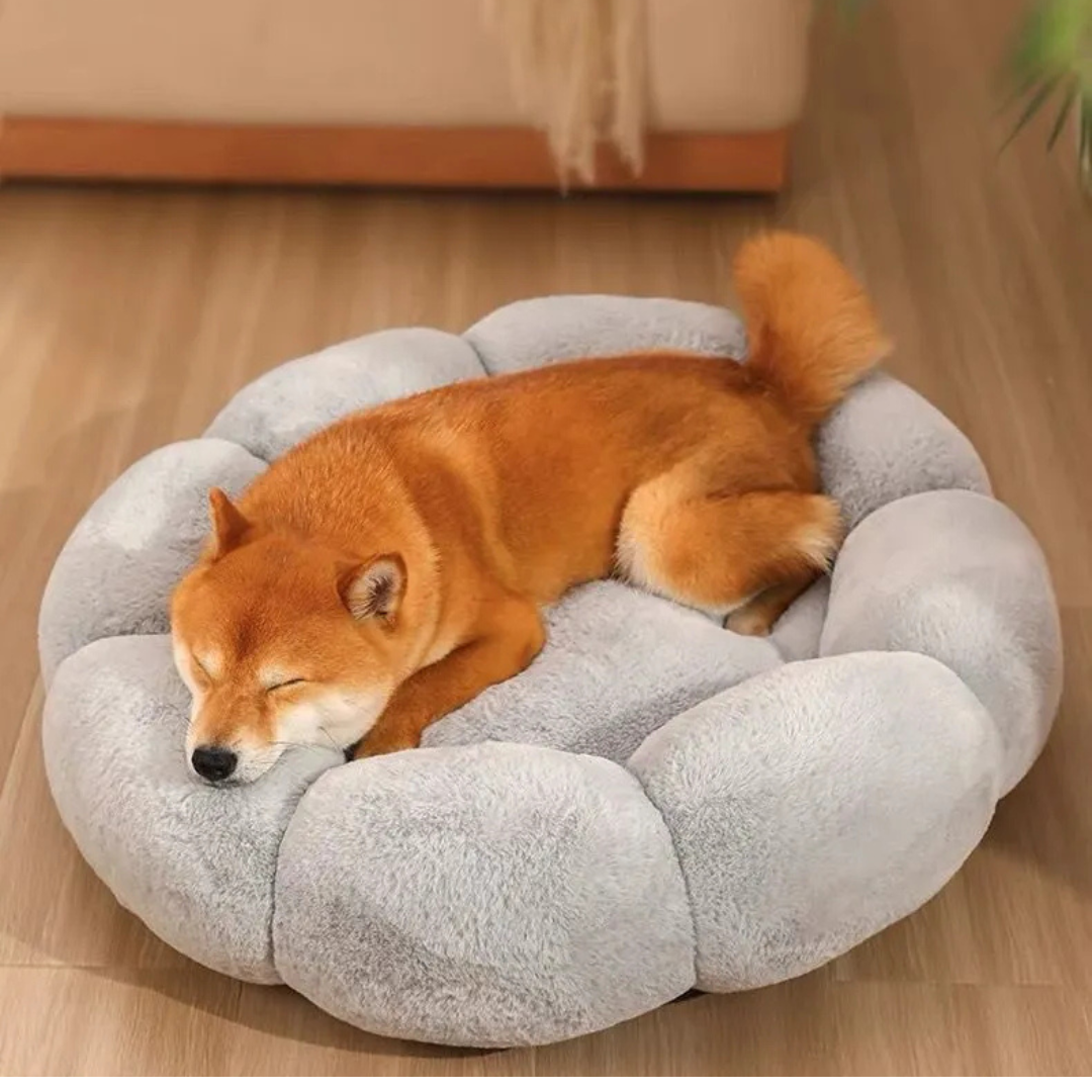 Cama Lavable 60cm Suave Antiestres Para Mascota Perro Gato-5