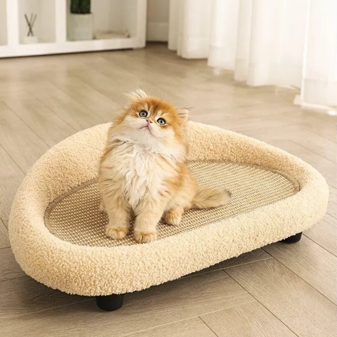 Rascador Y Cama Tipo Sofa 60cm Para Mascota Gato Perro-4