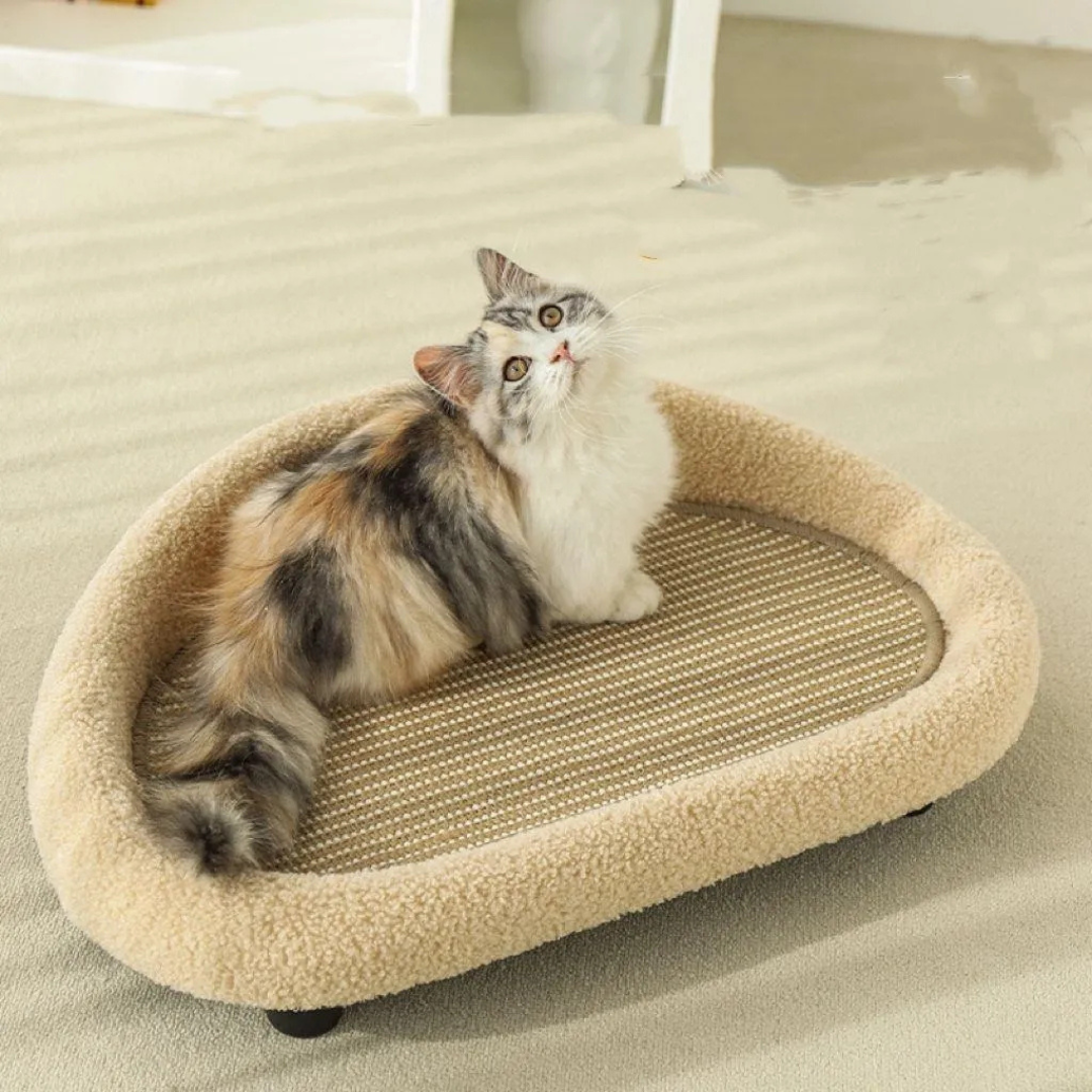 Rascador Y Cama Tipo Sofa 60cm Para Mascota Gato Perro-5