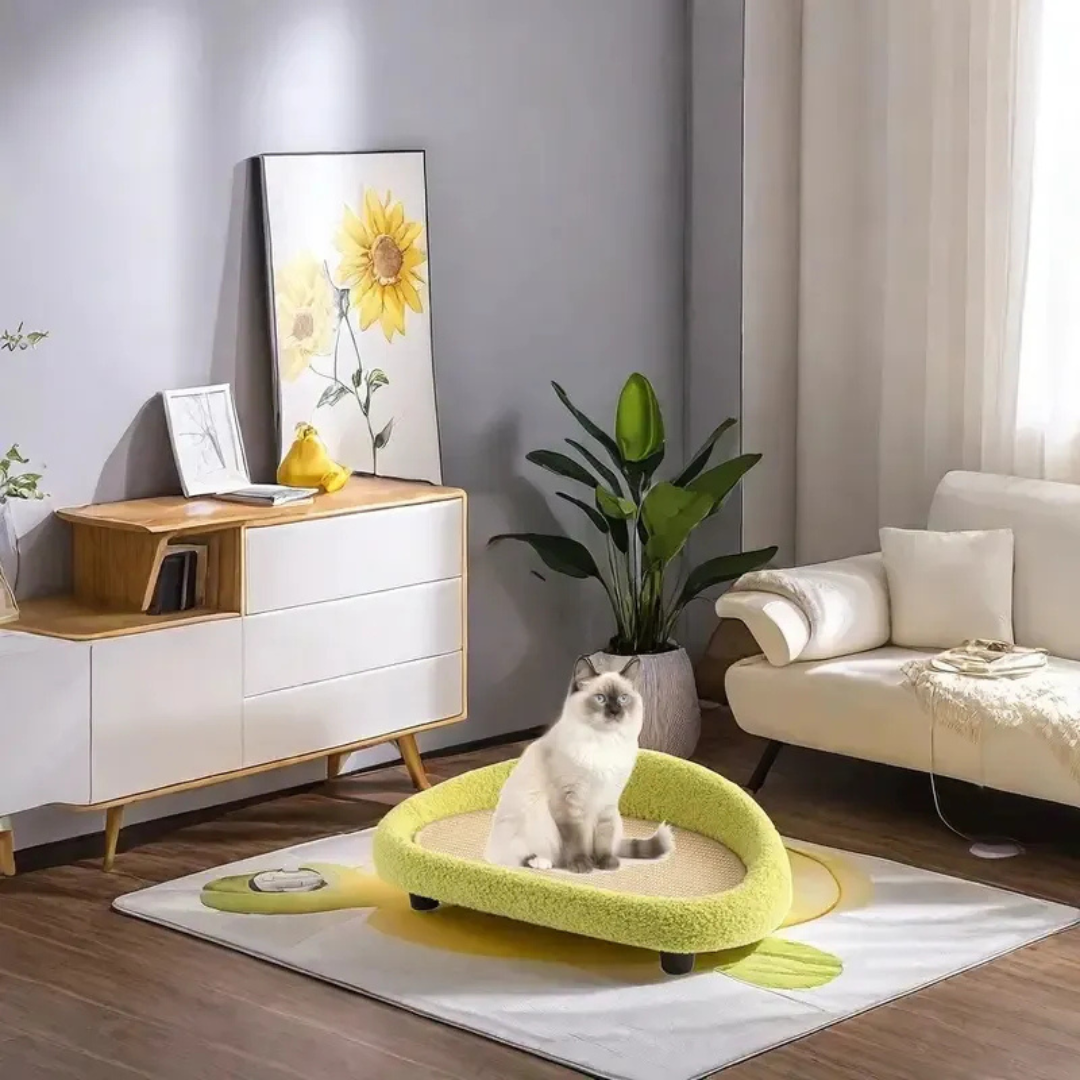 Rascador Y Cama Tipo Sofa 60cm Para Mascota Gato Perro-6