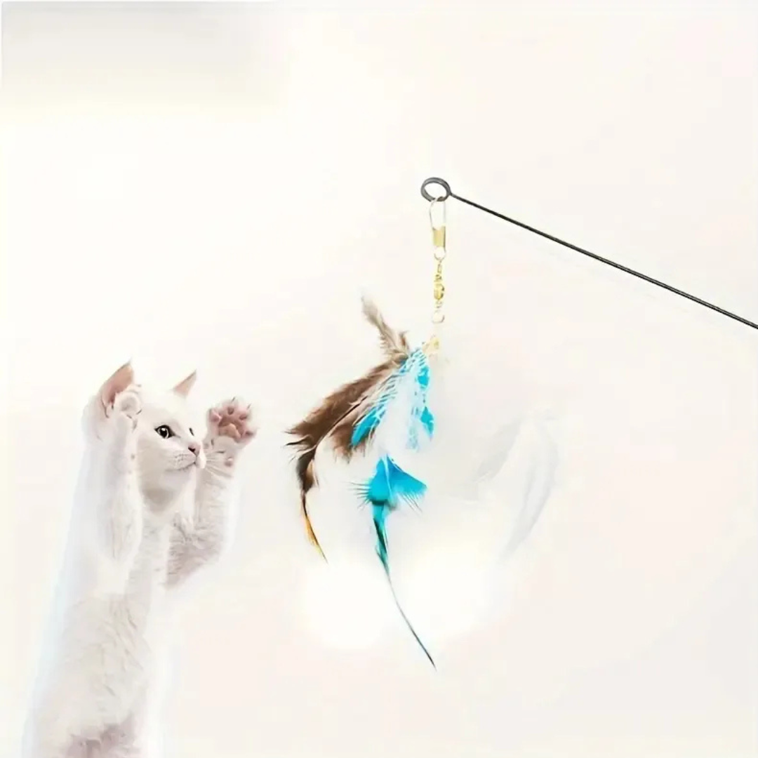 Juguete De Palo Interactivo 3pcs Plumas Gato-4
