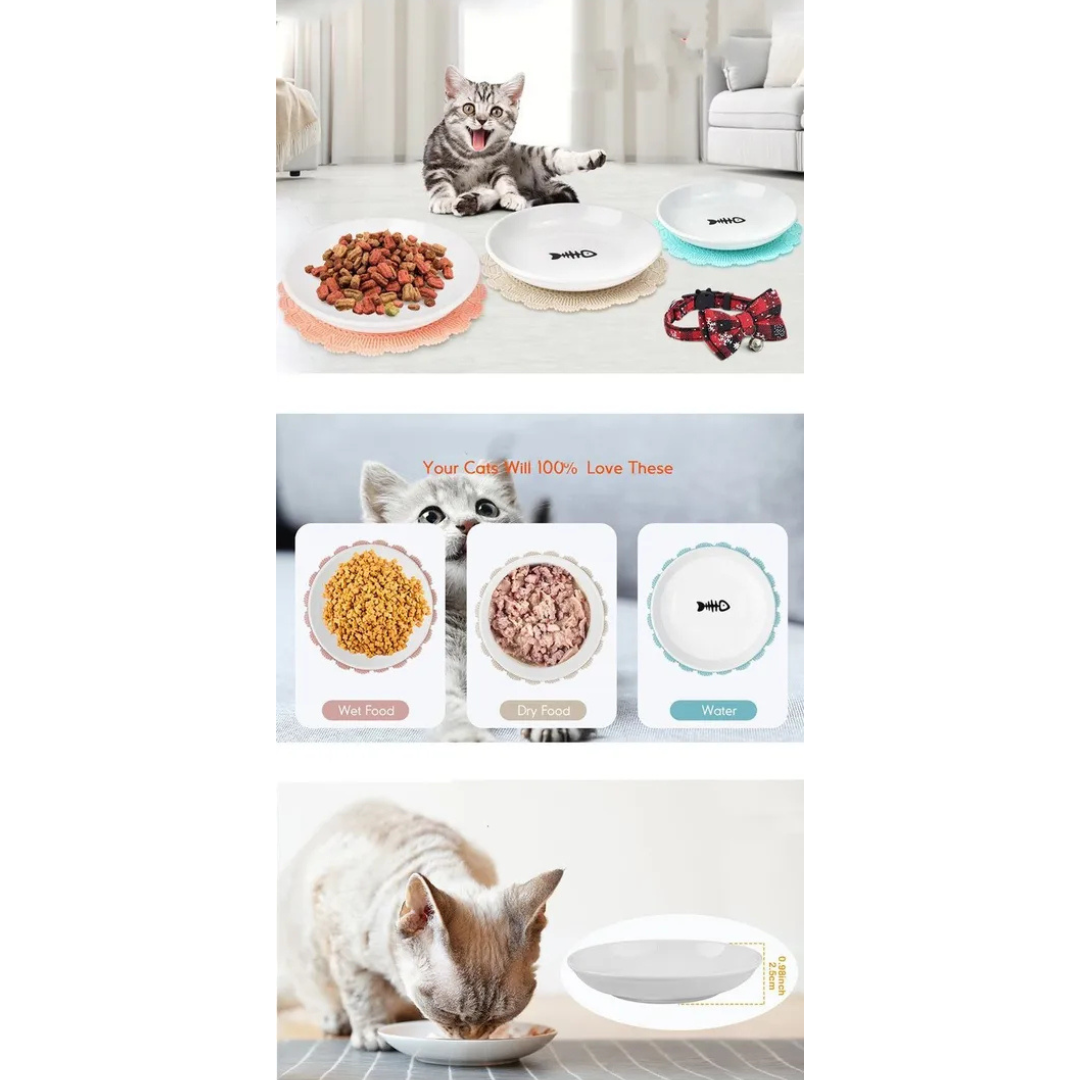 Plato Alto de Cer mica Estilo Europeo Para Perros Y Gatos-5