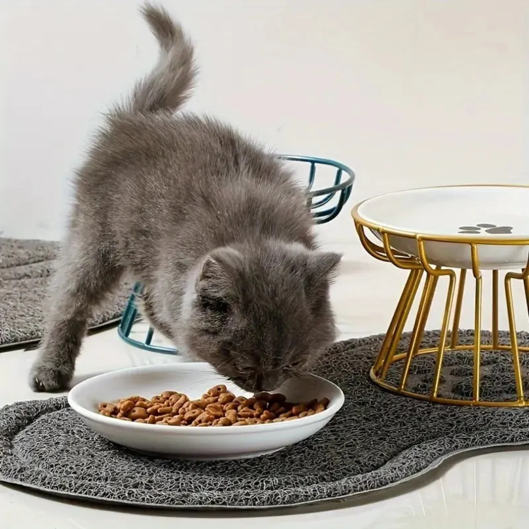 Plato Alto de Cer mica Estilo Europeo Para Perros Y Gatos-7