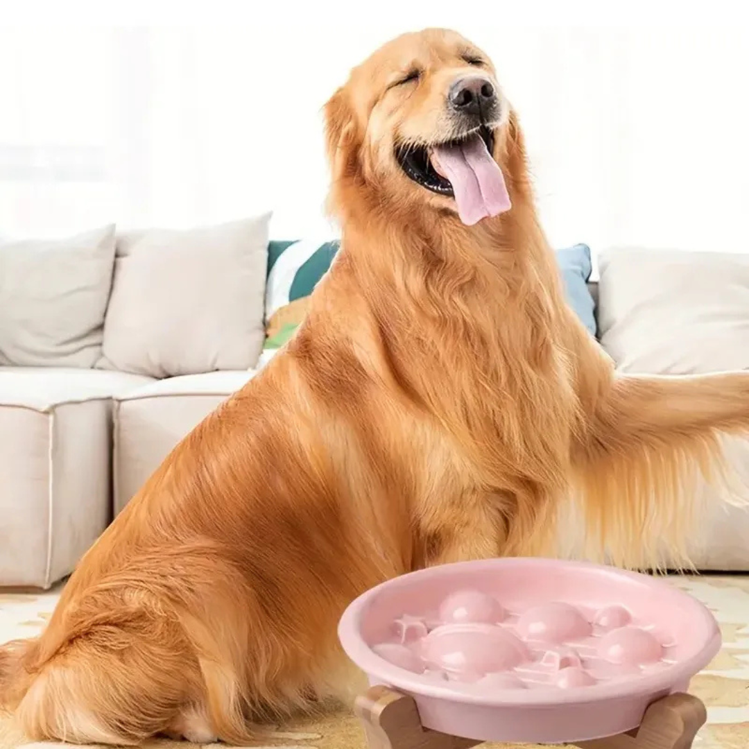 Plato Cer mica Elevado Come Lento Mascotas Anti Ahogo Blanco-3