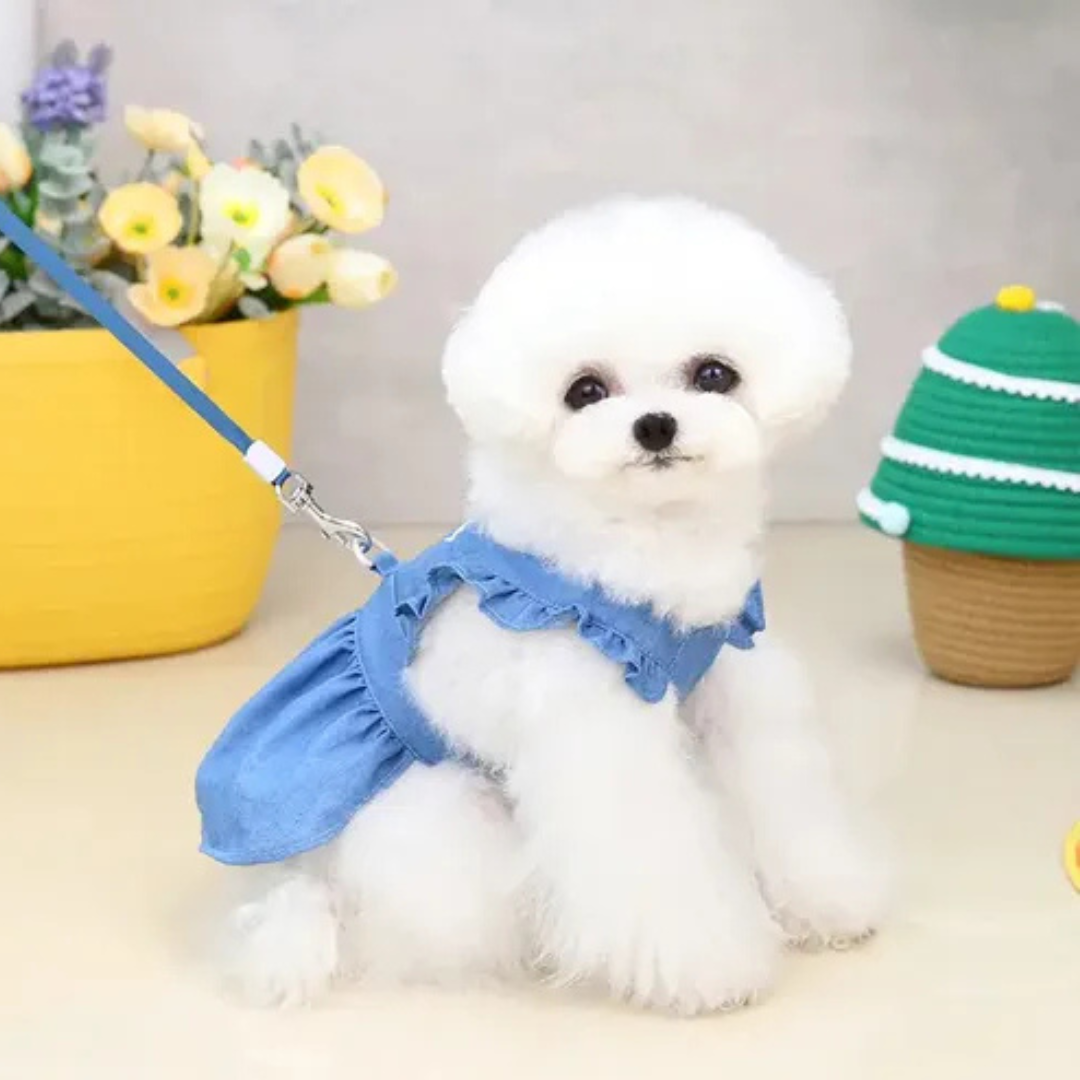 Vestido para perros de primavera y verano ropa para perros peque os y gatitos-2