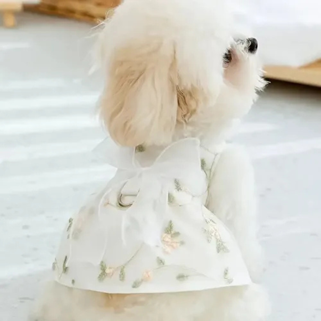 Ropa Vestido Elegante Para Mascota Perro Y Gato M-2