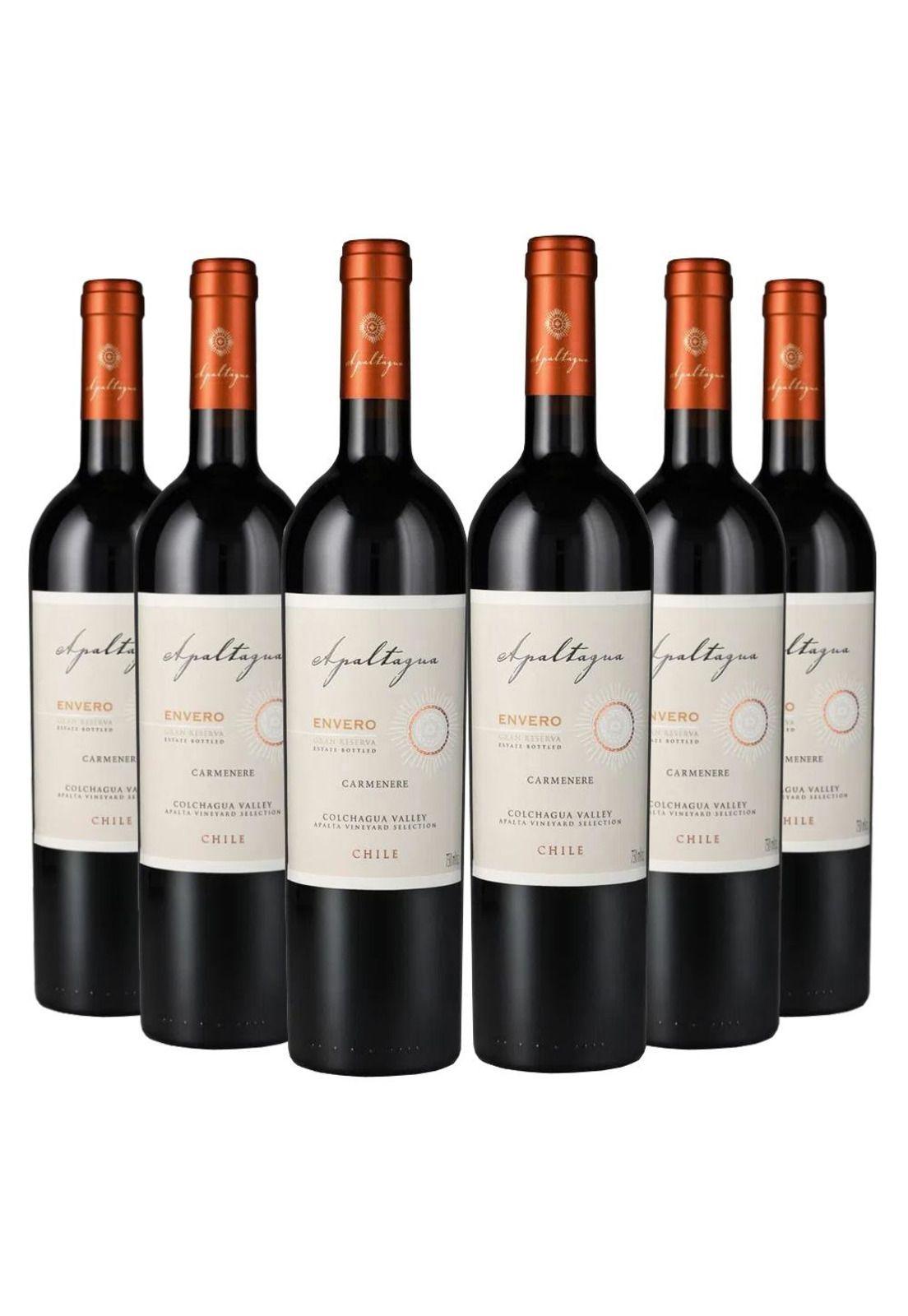 6 Vinos Apaltagua Gran Reserva Envero Carmenere-0