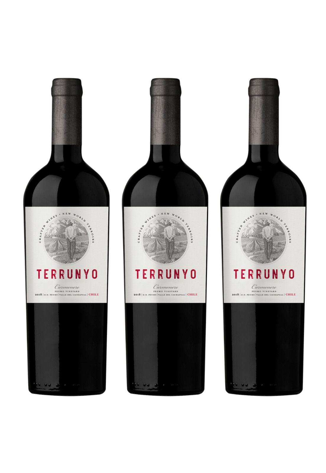 3 Vinos Concha Y Toro Terrunyo, Carmenere-0