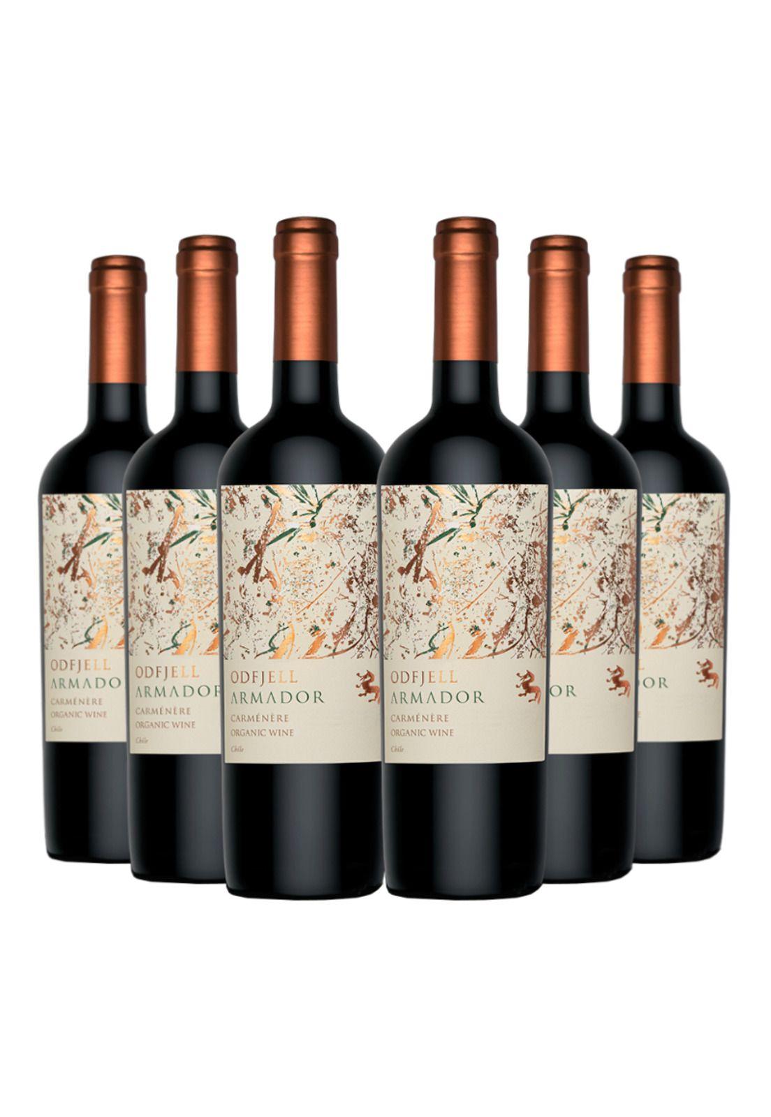 6 Vinos Odfjell Armador Carmenere-0