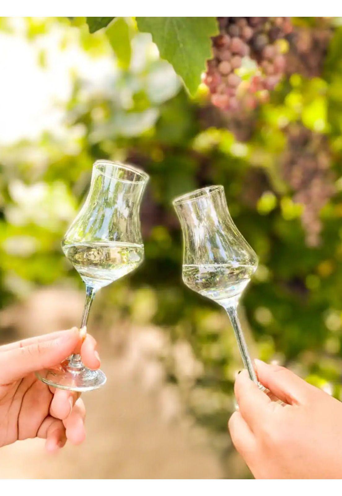 Destilado de Uva Pancho Fierro, Quebranta-1