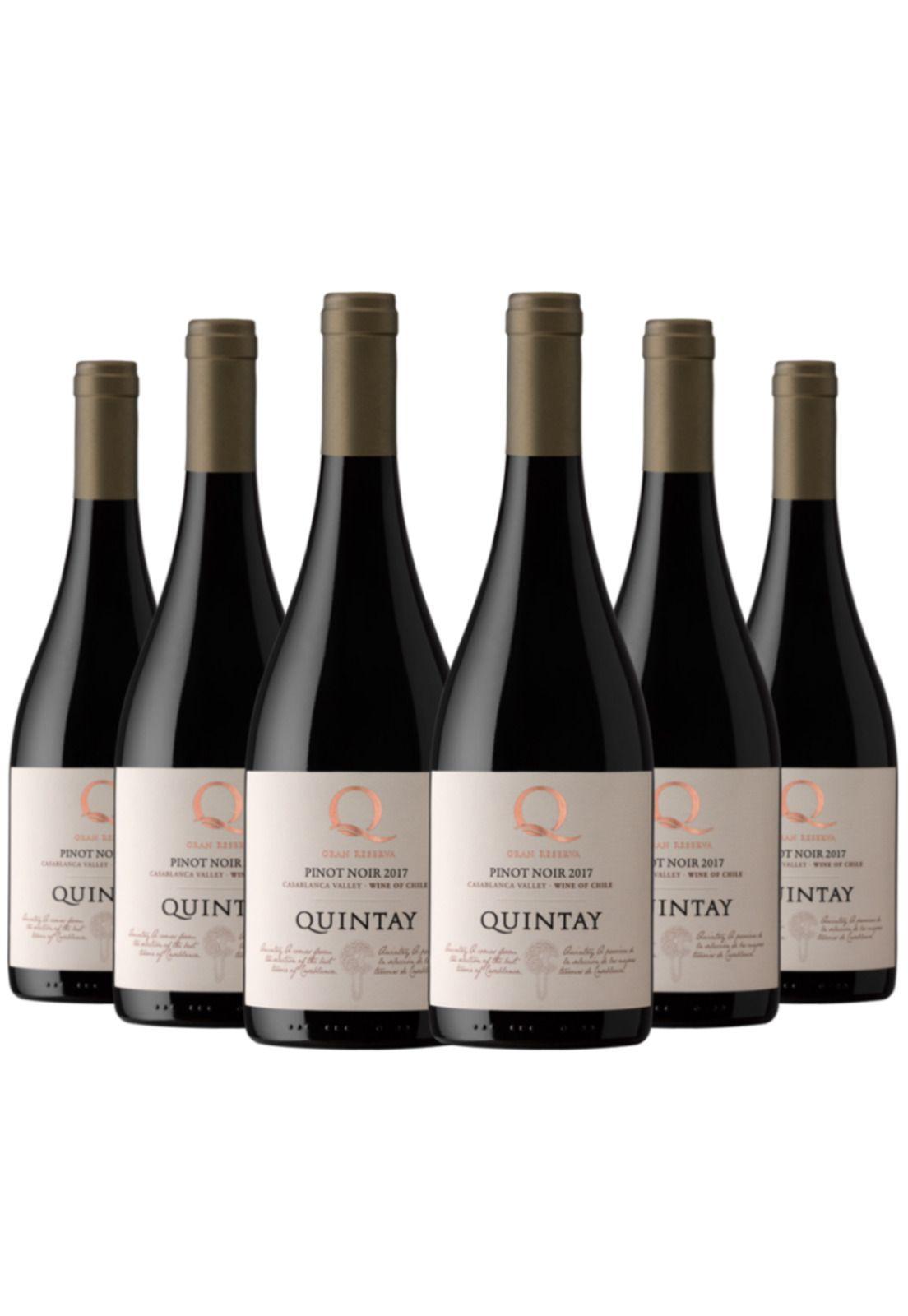 6 Vinos Quintay Q Pinot Noir-0