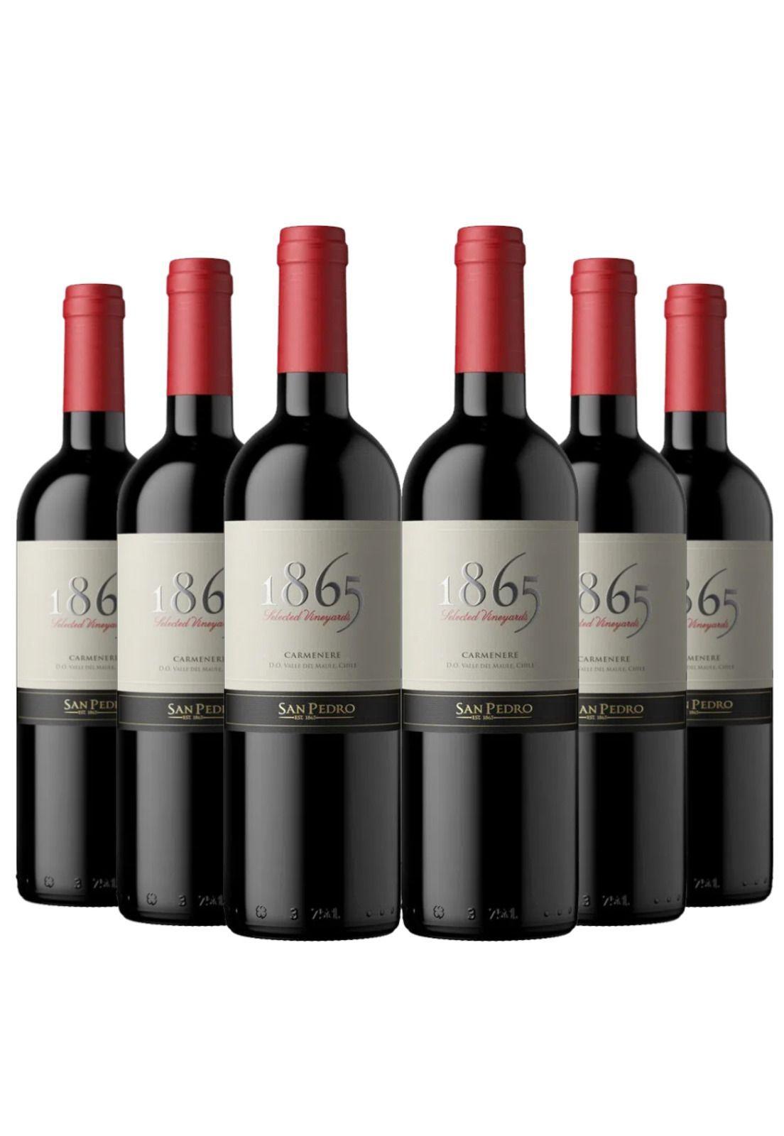 6 Vinos San Pedro 1865 Carmenere-0