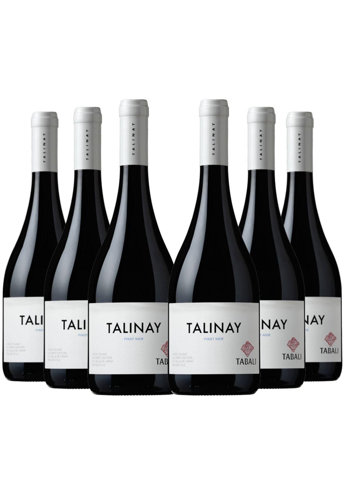 6 Vinos Tabali Talinay Pinot Noir-0