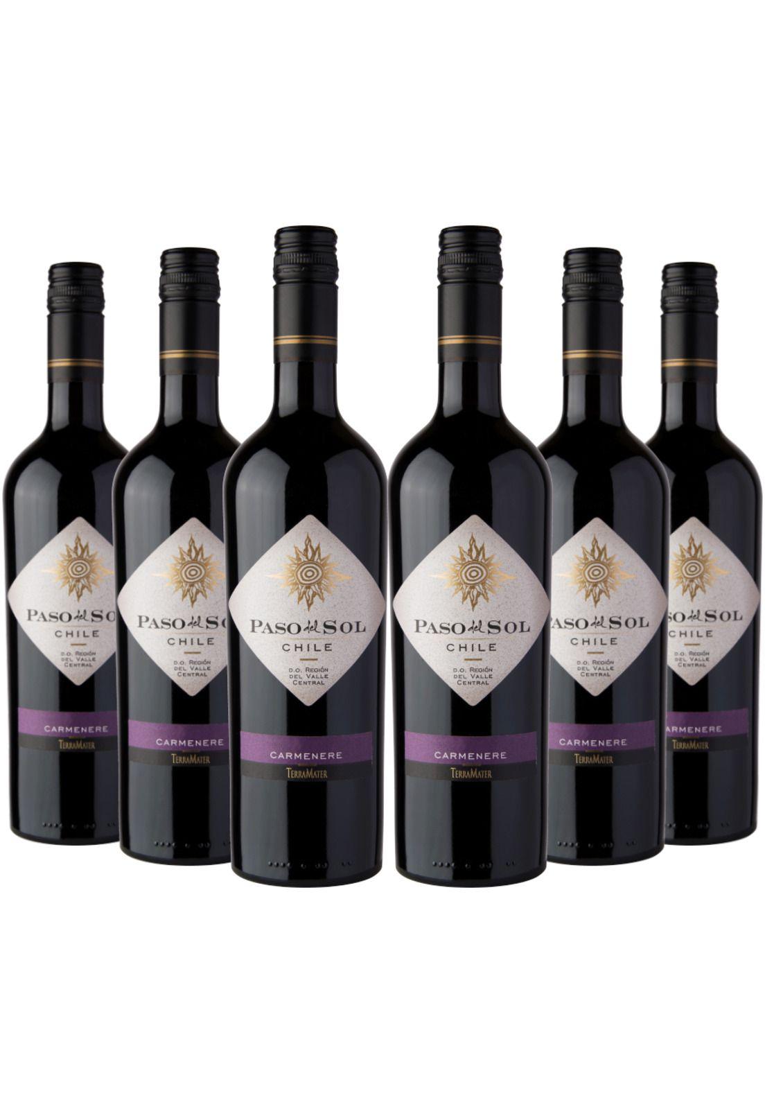 6 Vinos Paso Del Sol, Carmenere-0