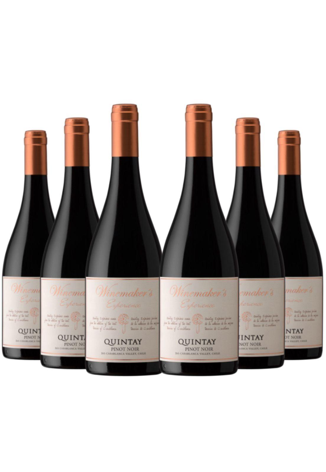 6 Vinos Quintay Experience Pinot Noir-0