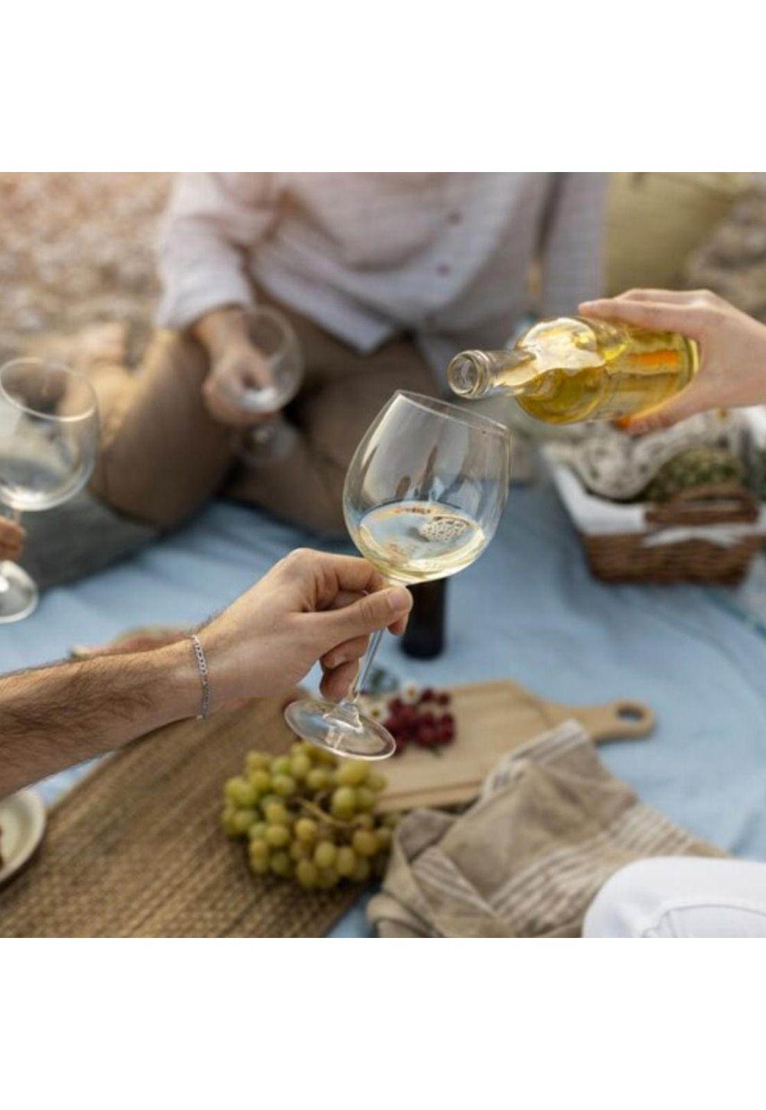 6 Vinos Bodegas RE Pinotel-1