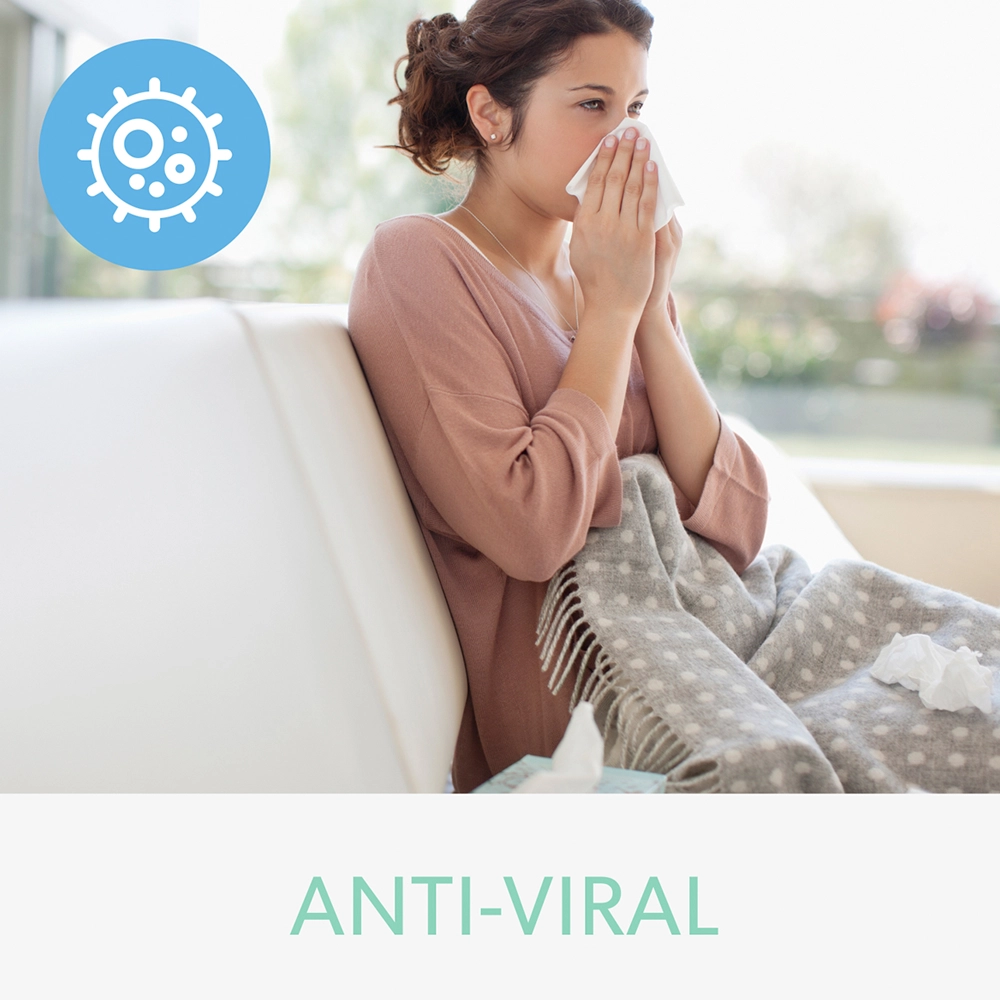 Repuesto Filtro HEPA + Carbón Tambor Alergia Z1000 Trusens-2