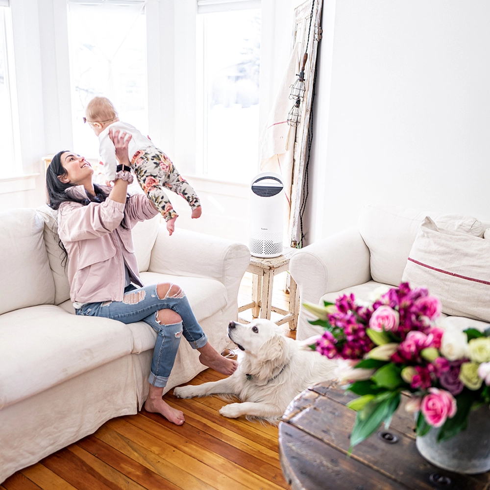 Purificador De Aire Pequeño Trusens - Z1000-5