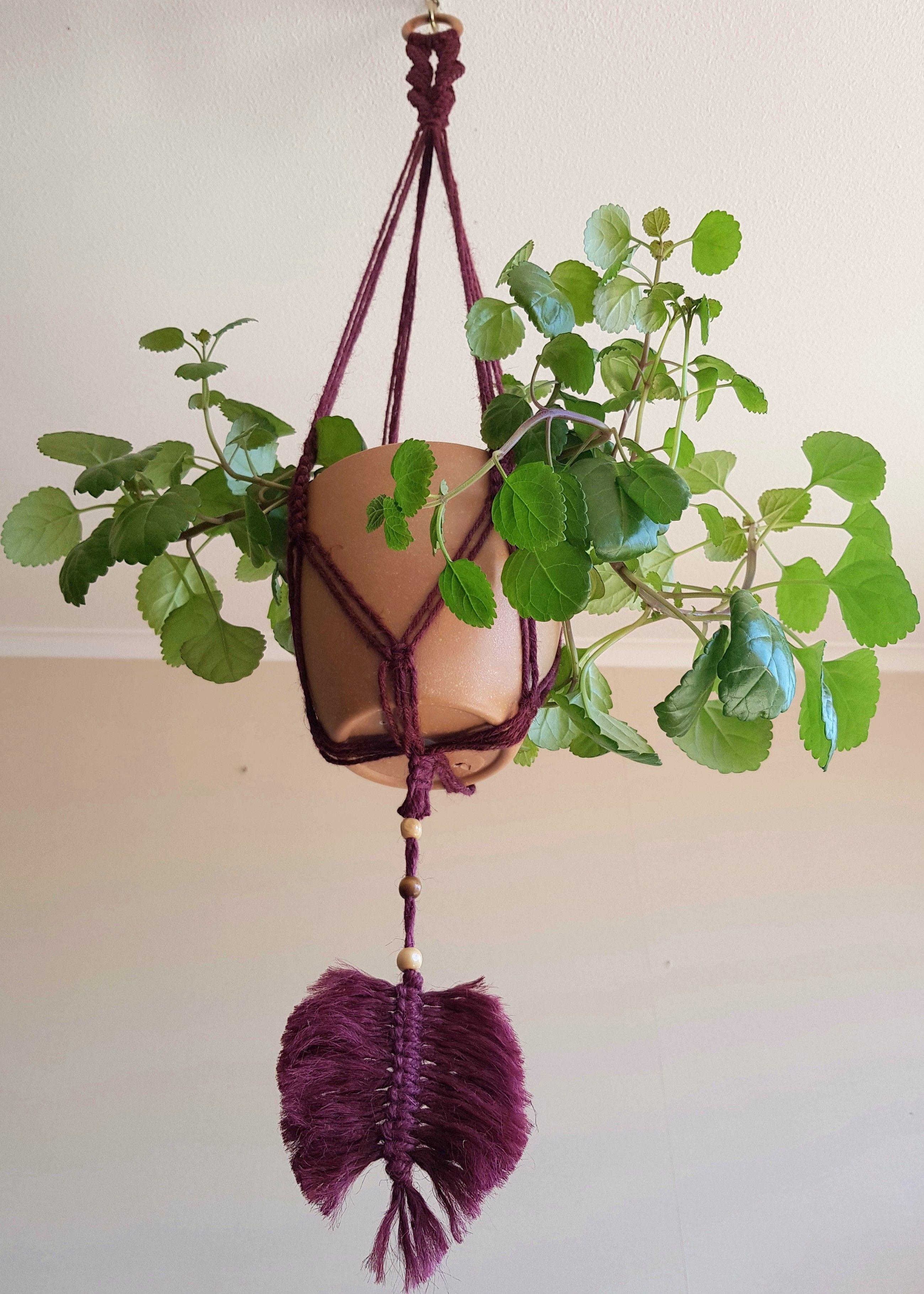 Colgante para Plantas Tricahuilo con hoja - Burdeo-3