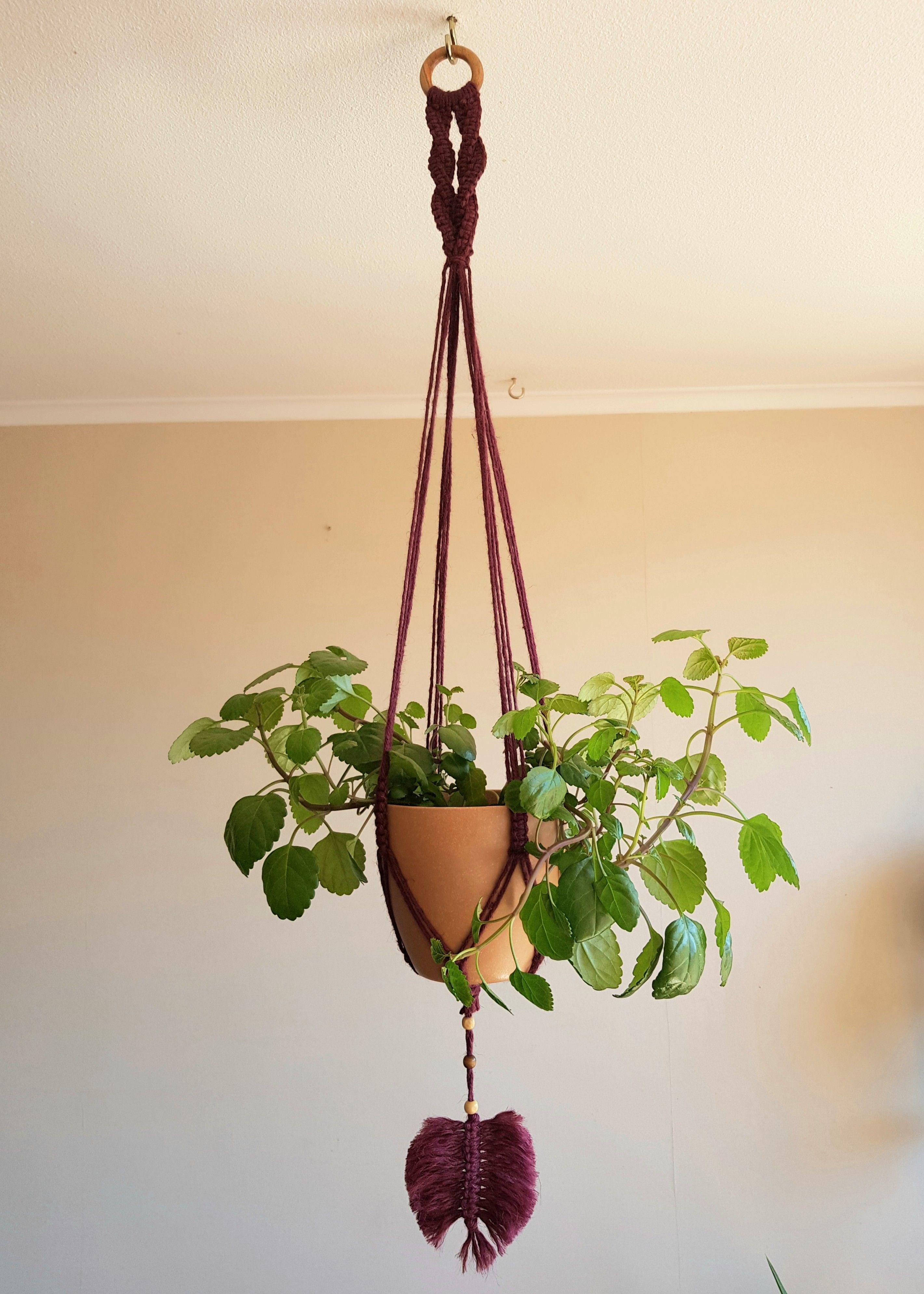 Colgante para Plantas Tricahuilo con hoja - Burdeo-4