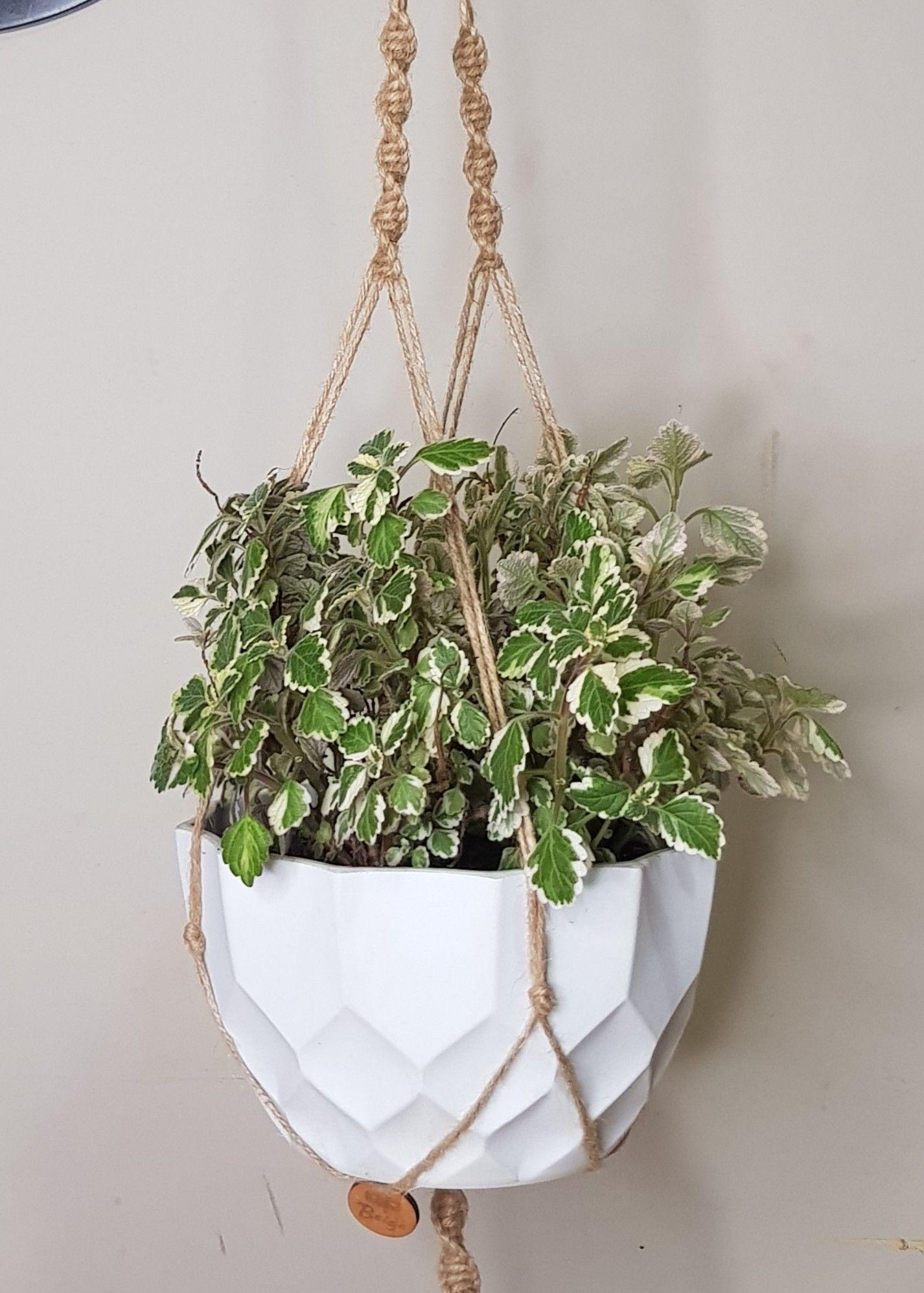 Colgante para Plantas de Yute Queuco-4