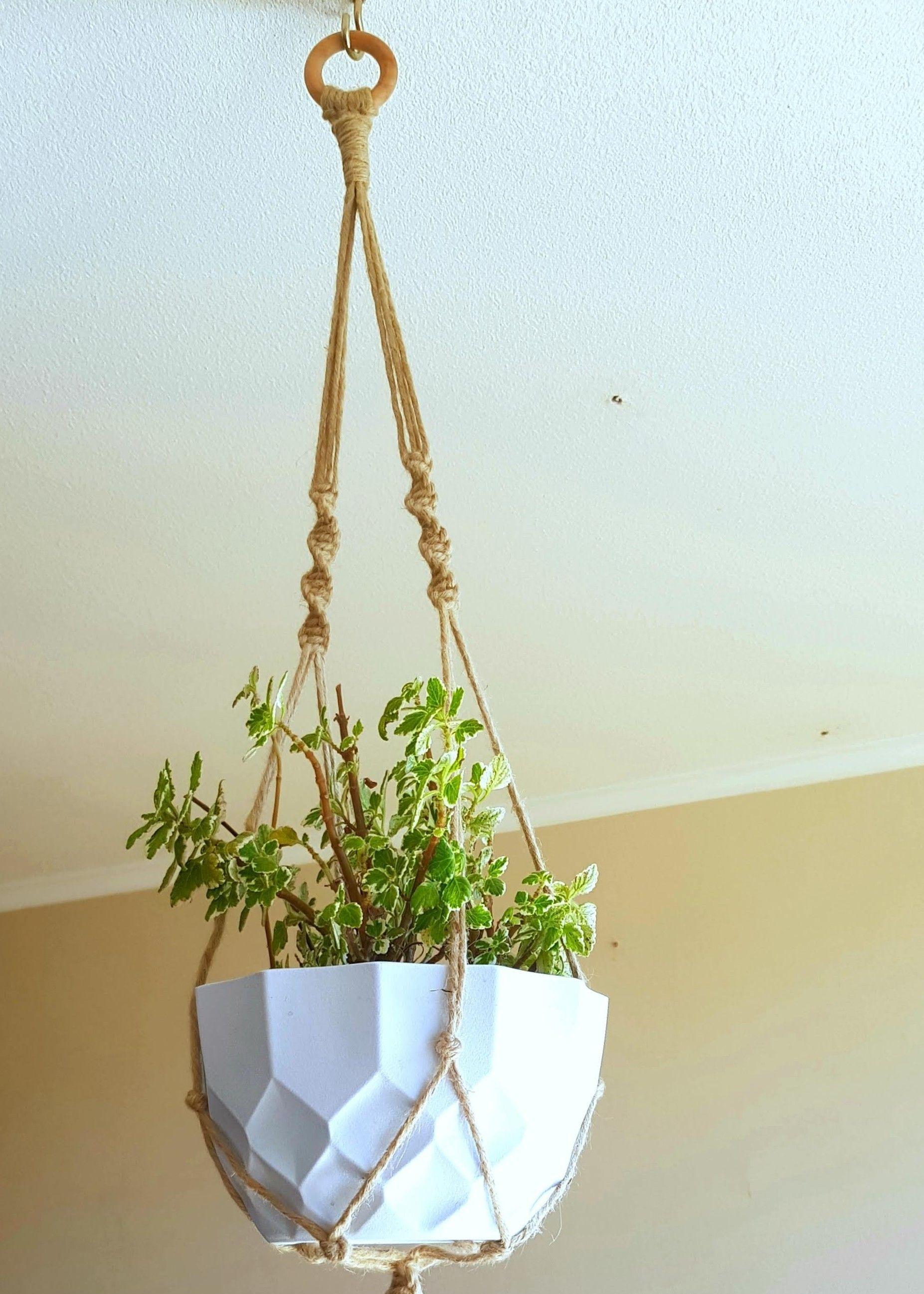 Colgante para Plantas de Yute Queuco-6