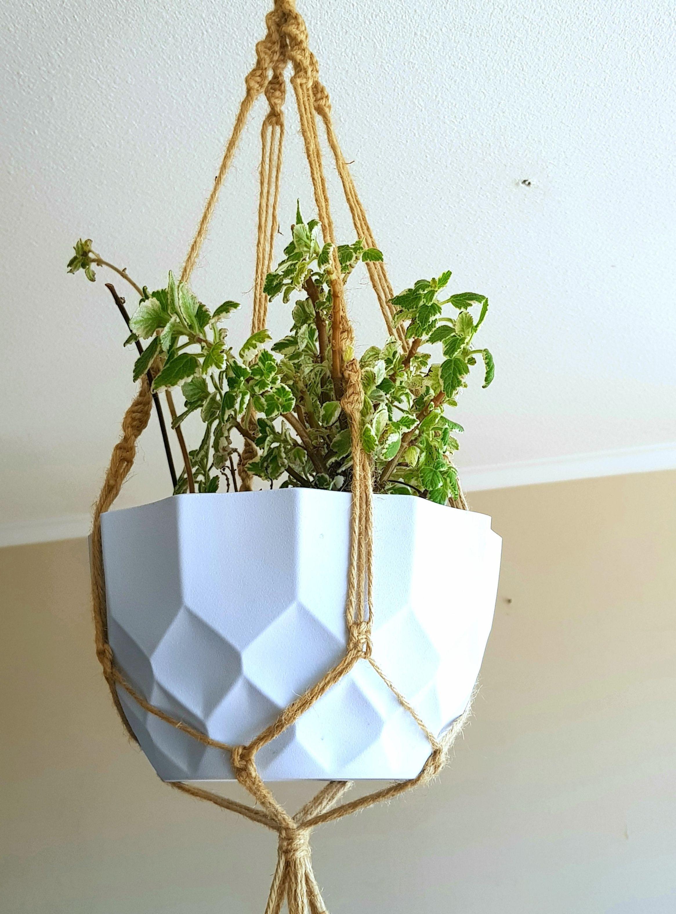 Colgante para 2 plantas Iguazú-4