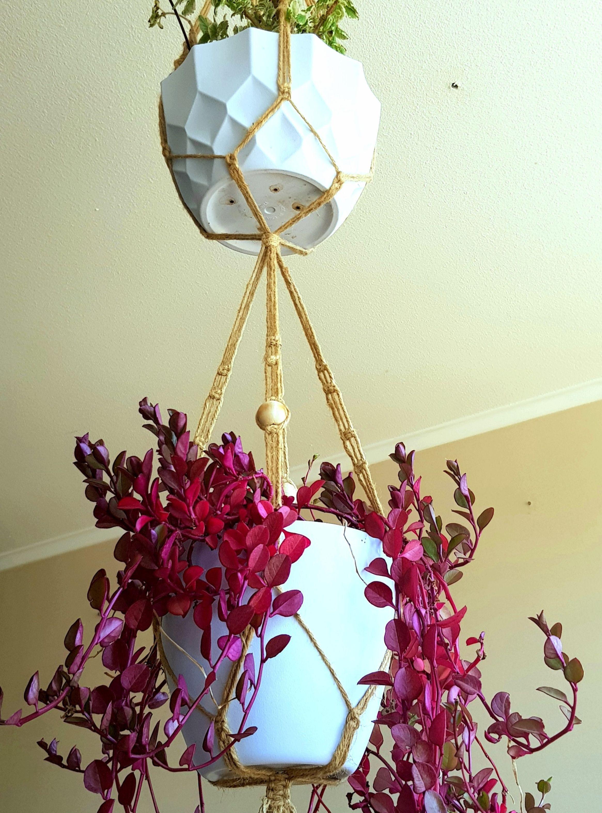 Colgante para 2 plantas Iguazú-6