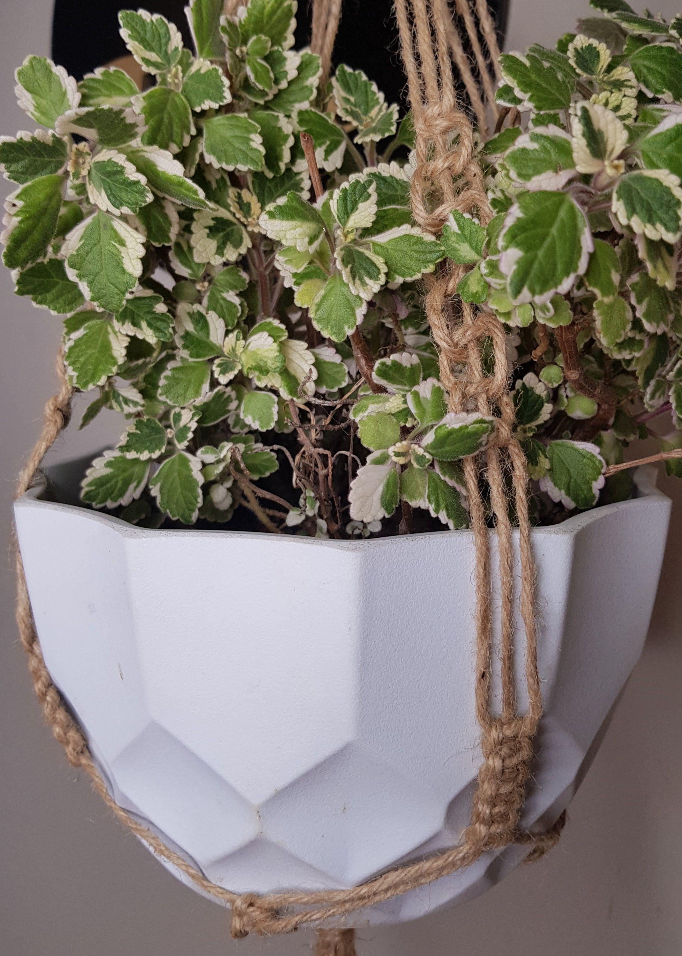 Colgante para Plantas de Yute Cañicura-5