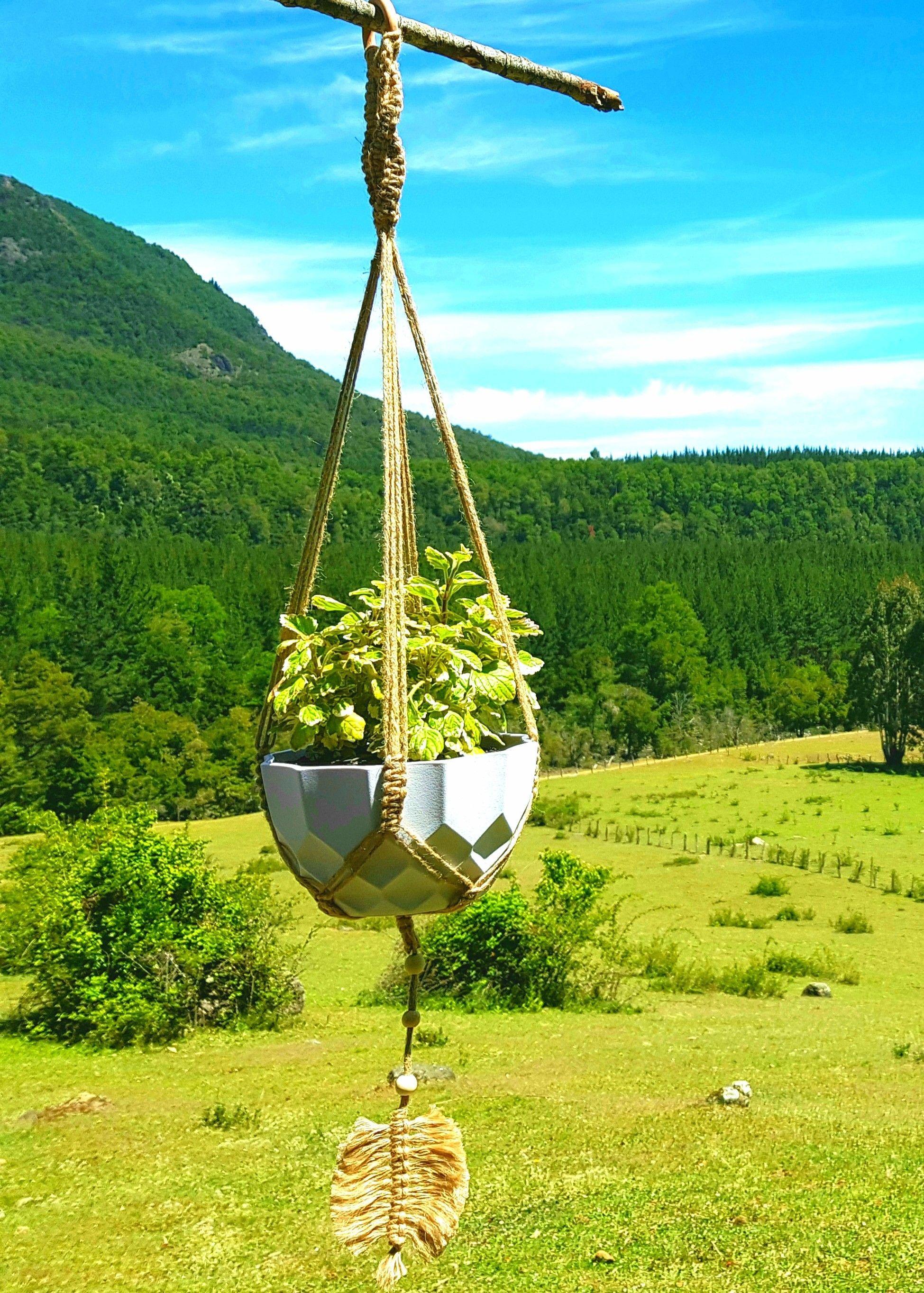 Colgante para Plantas Tricahuilo con Hoja-2