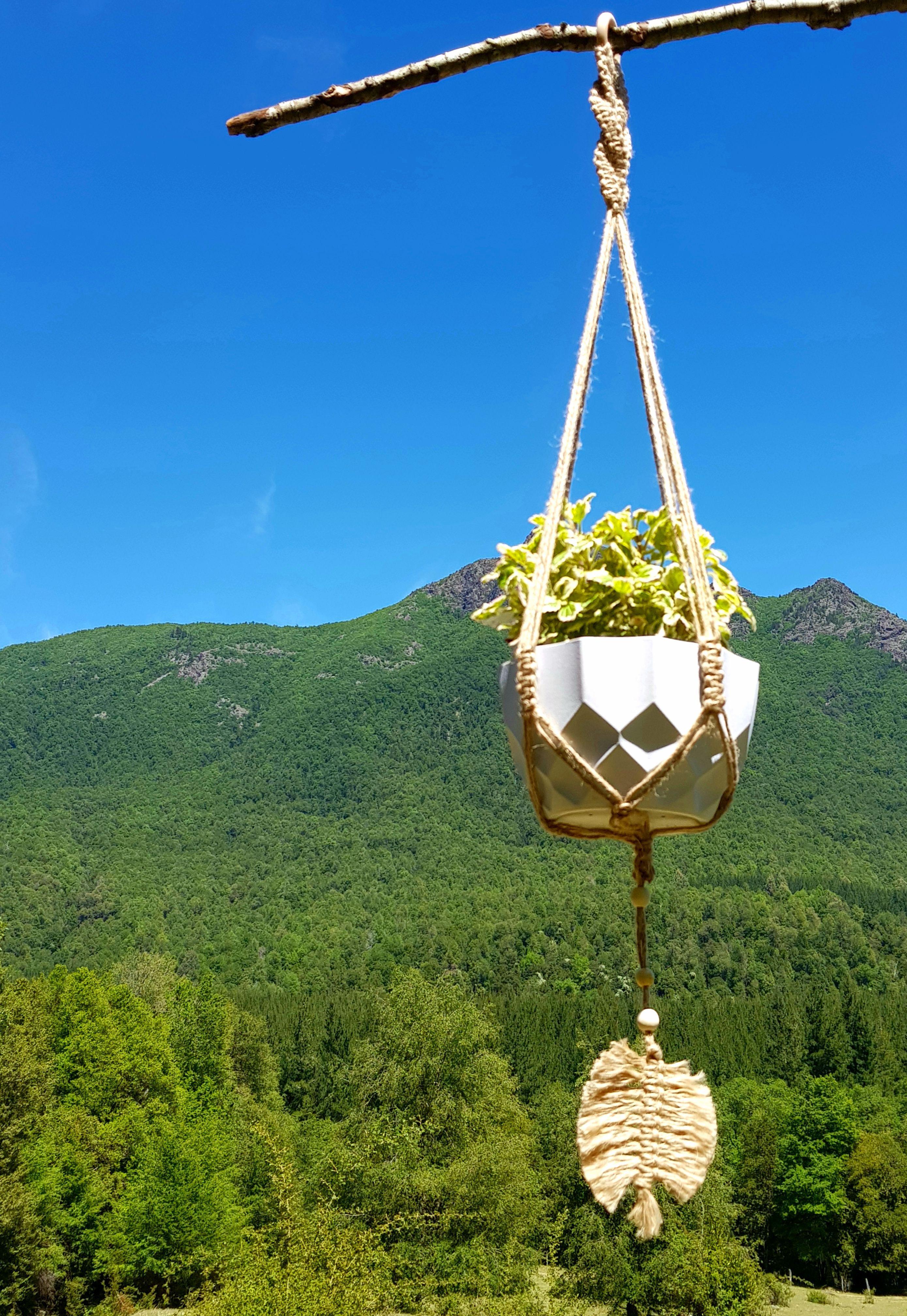 Colgante para Plantas Tricahuilo con Hoja-4