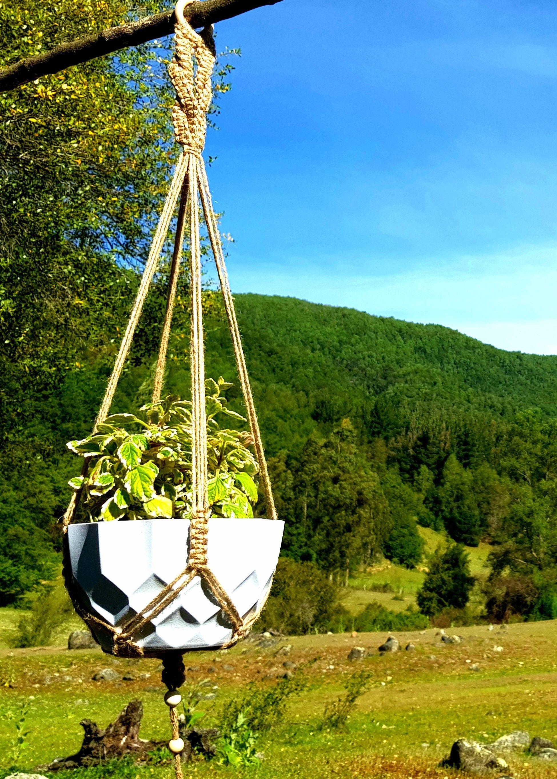 Colgante para Plantas Tricahuilo con Hoja-5
