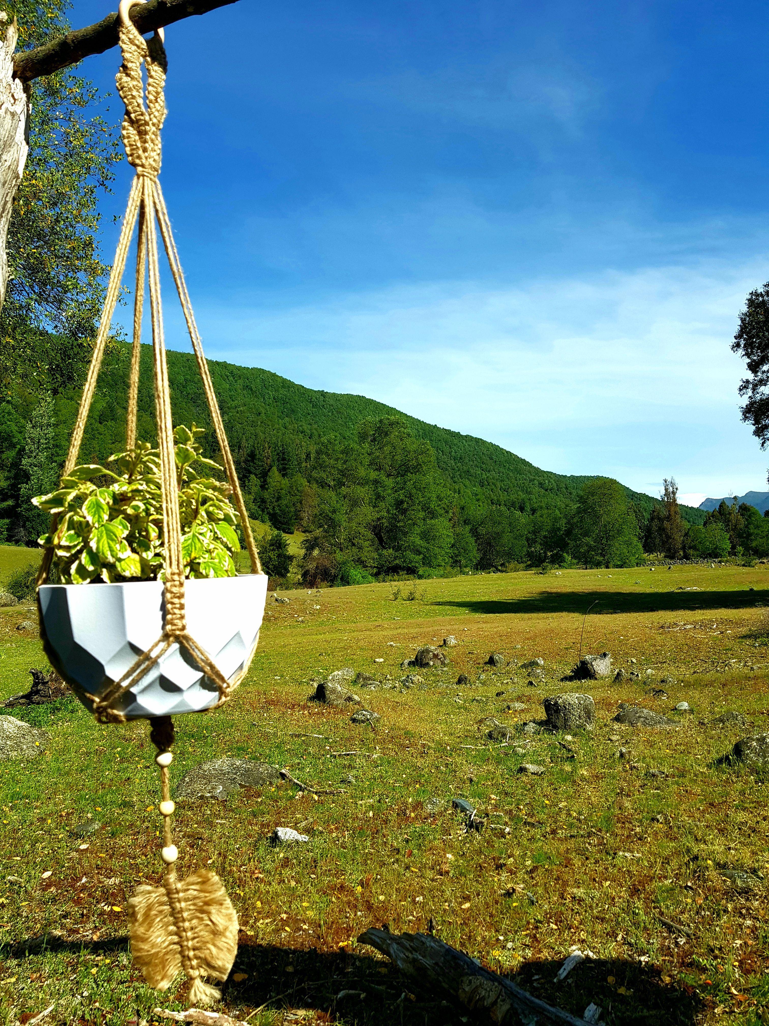 Colgante para Plantas Tricahuilo con Hoja-6