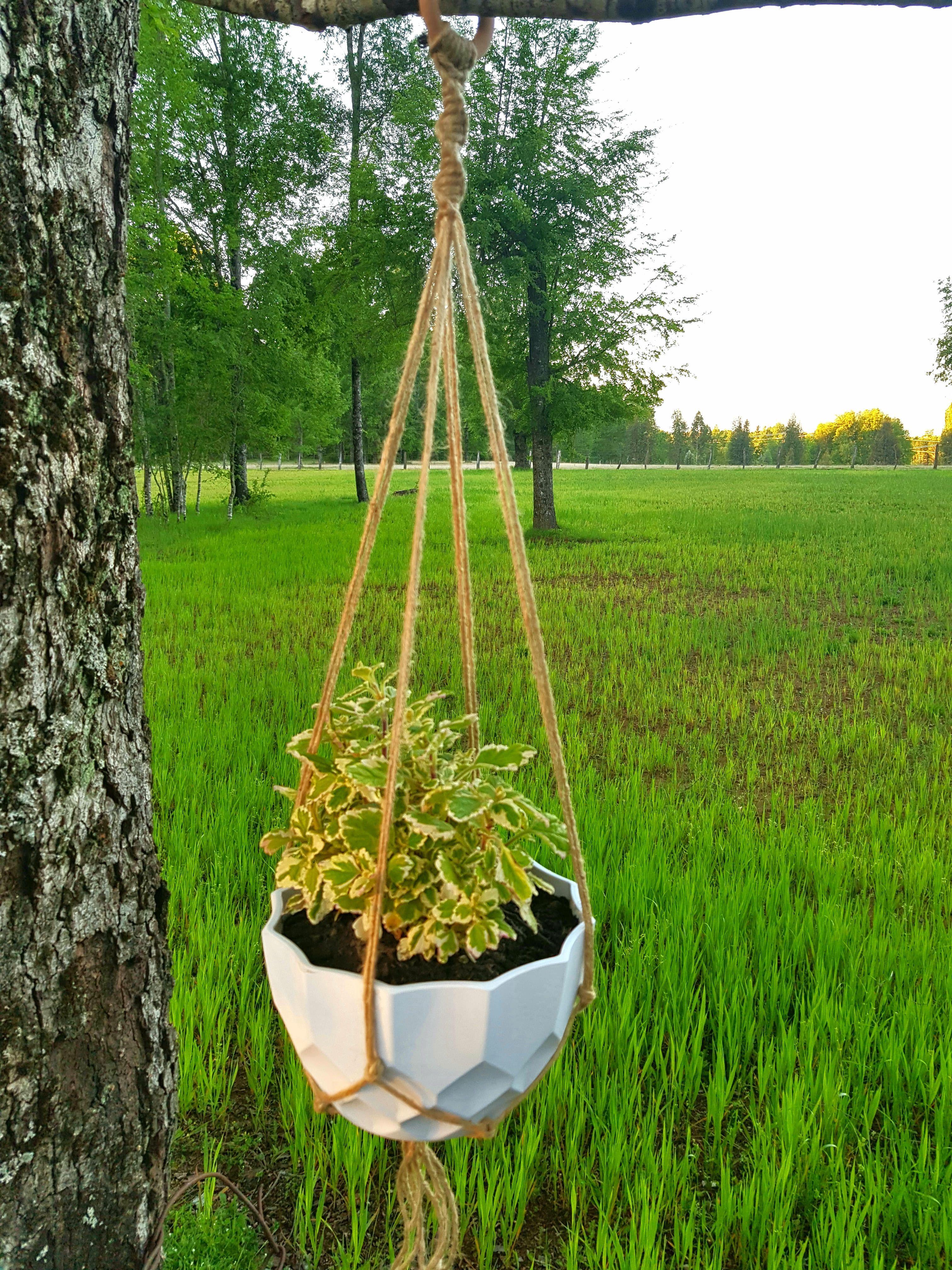 Colgante Para Planta Aliwén-1
