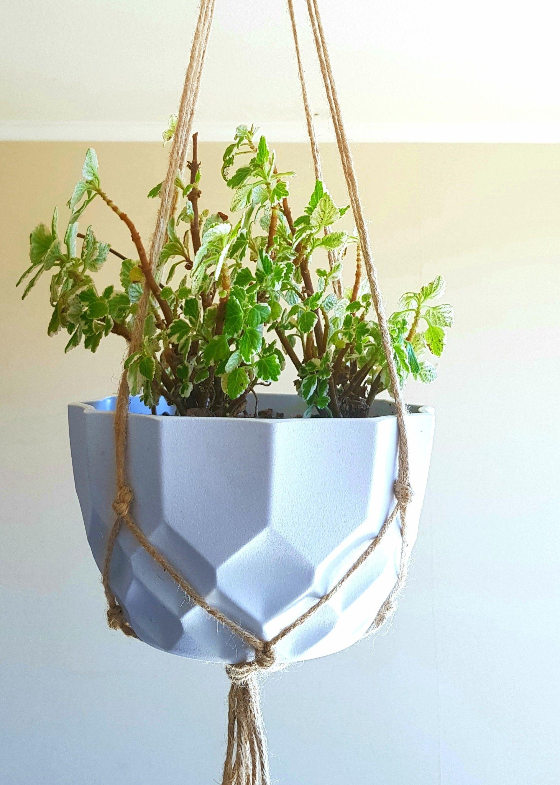 Colgante Para Planta de Yute Aliwén-3