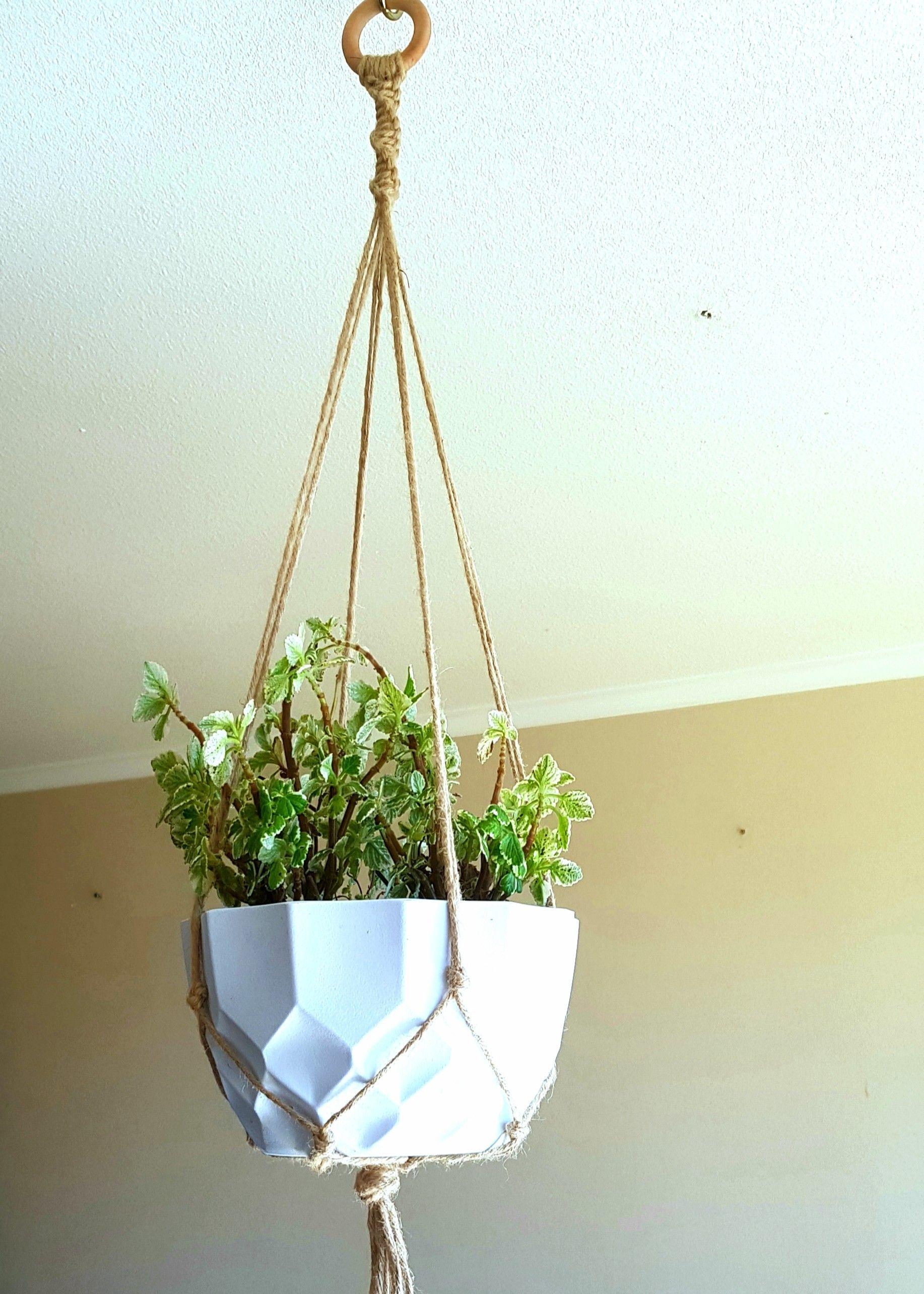 Colgante Para Planta de Yute Aliwén-4