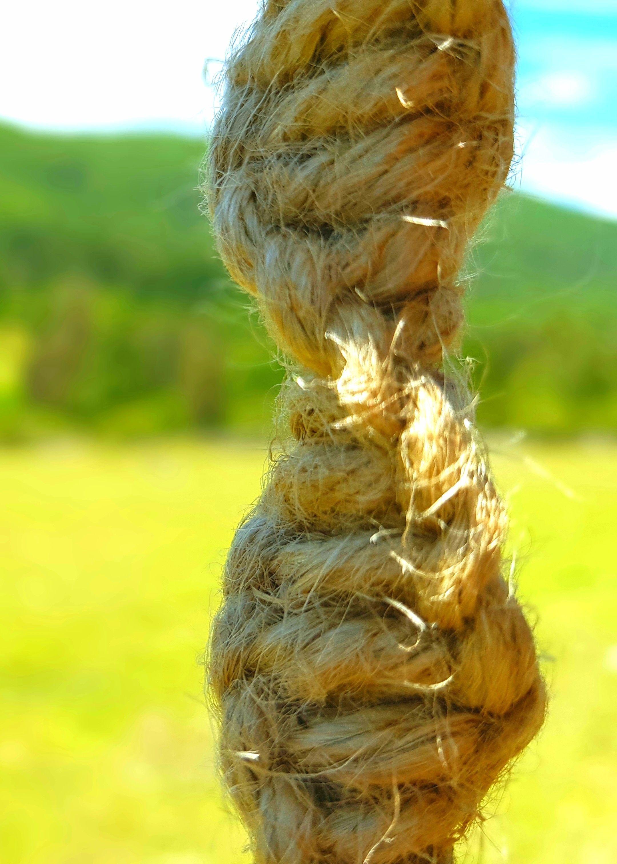 Colgante Para Planta de Yute Aliwén-6