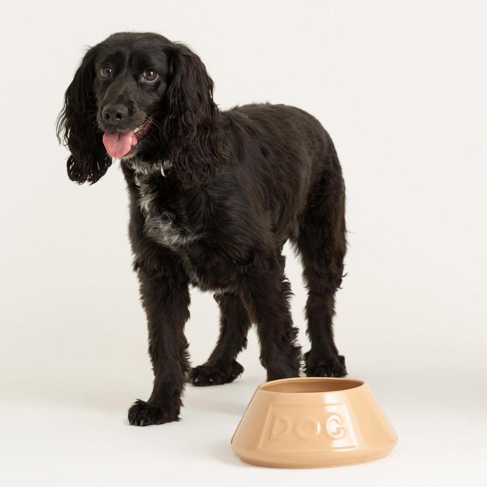 Bowl Perro Beige AntiVuelco 21cms-1