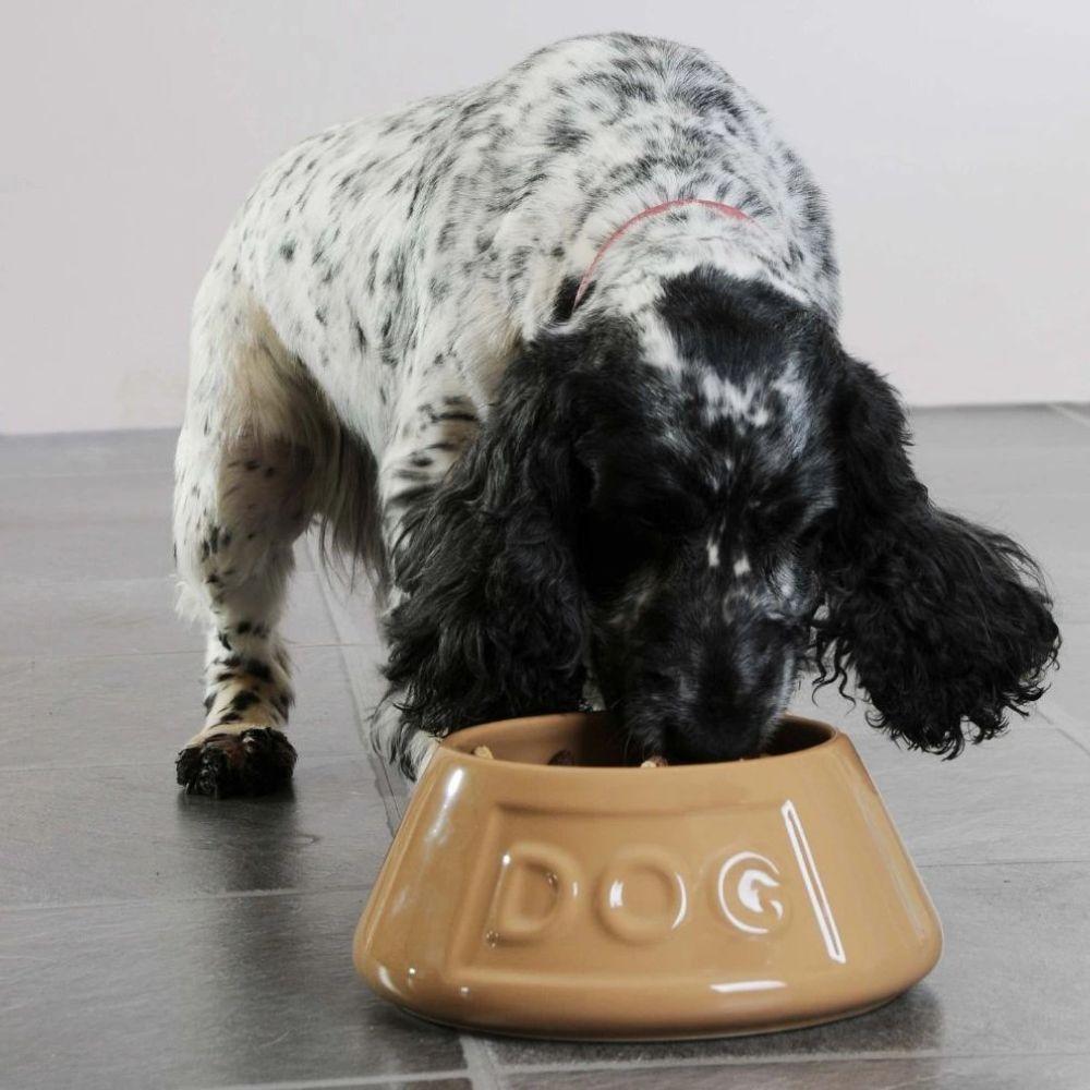 Bowl Perro Beige AntiVuelco 21cms-2