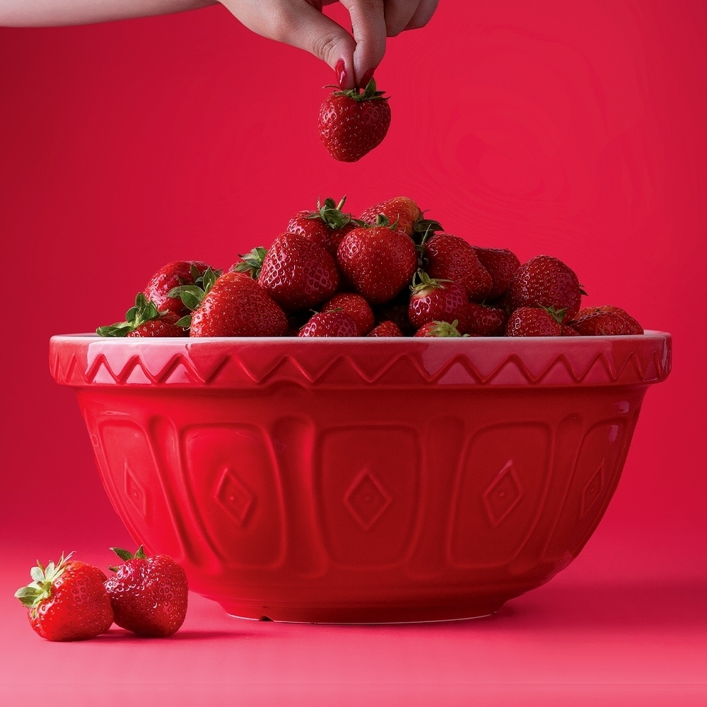 Bowl Colour Mix Rojo Rub 24cms-3
