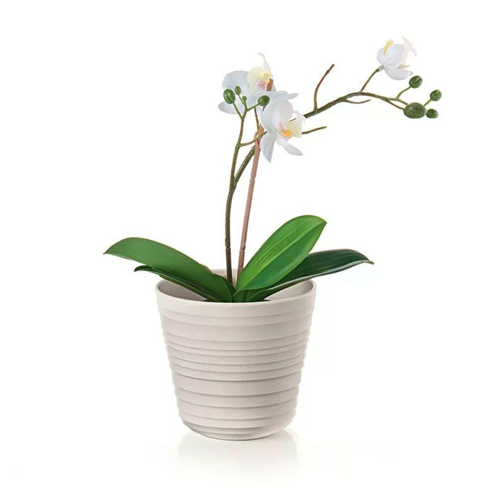 Macetero Tierra Single Plant Latte-2